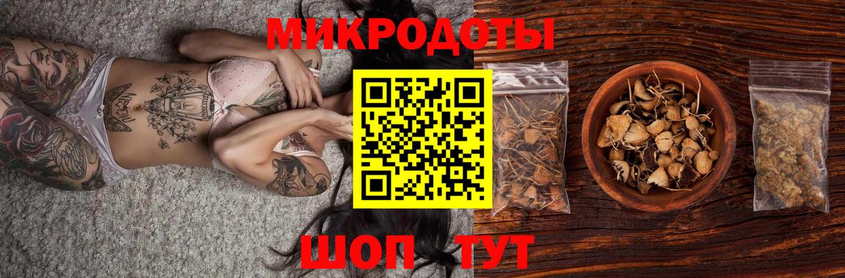 Тамбов  Псилоцибиновые грибы мицелий  Вход с VPN  Галлюциногенные грибы прущие грибы 