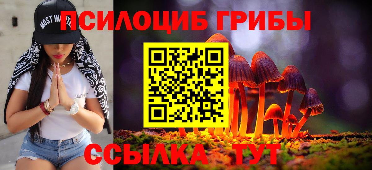 Псилоцибиновые грибы MAGIC MUSHROOMS Тамбов